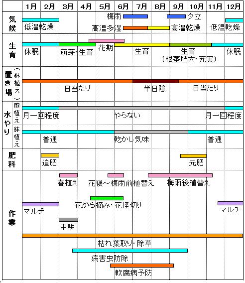 ジャーマンアイリス年間栽培管理